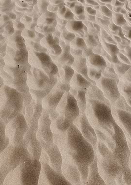 sand desert
