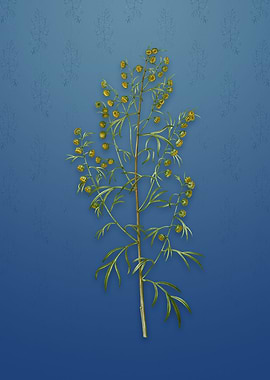 Vintage Madeira Wormwood