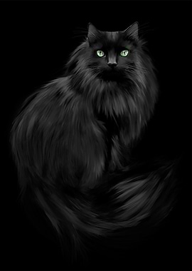 Blue EyesCat in Black