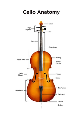Cello