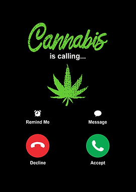 Cannabis