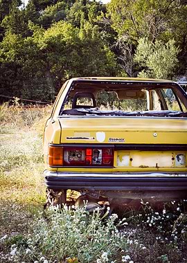 Old car in nature