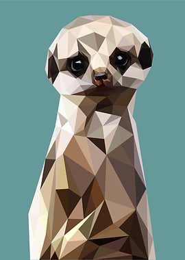 Nursery animals meerkat