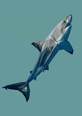 Nursery animals shark