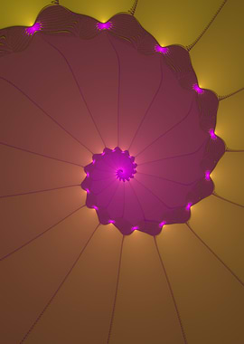 Pink golden spiral web