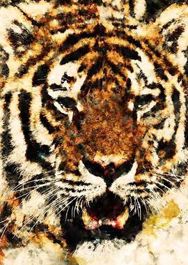 wild tiger head poster