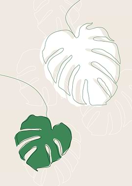 Monstera