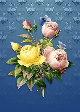 Vintage Variety of Roses