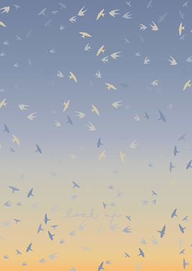 Look Up to the Skies