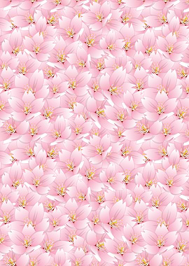 Cherry Blossom Flower 10