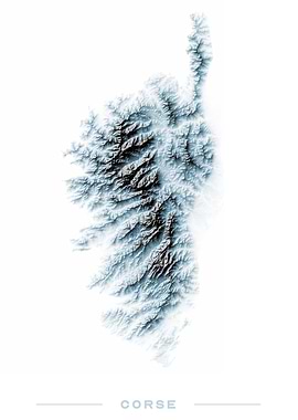 Corse