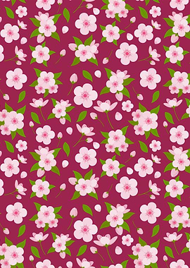 Cherry Blossom Flower 06