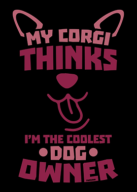 Corgi Coolster dog owner