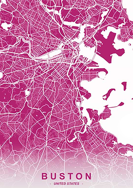 Boston City Map Fleur