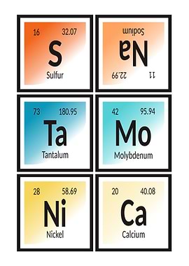 Elements of Santa Monica