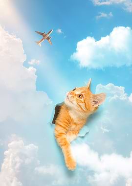 Kitten piercing blue sky