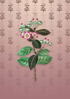 Tall Calotropis Flower