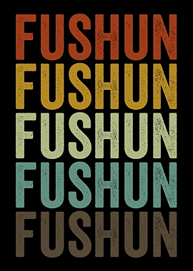 Fushun China Retro Vintage