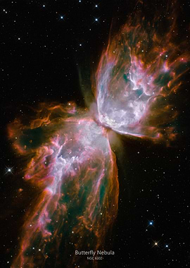 Butterfly Nebula