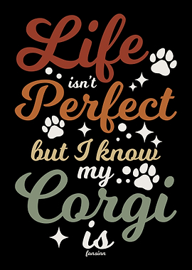 Mein Corgi ist perfekt