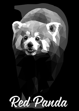 Red Panda