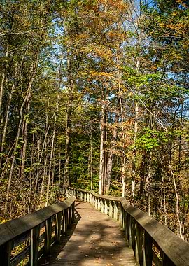 Cuyahoga National Park OH