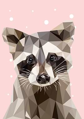 animal portrait raccoon