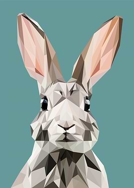 animal portrait rabbit