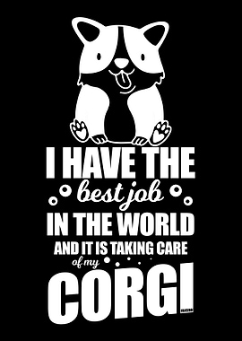 I take care of my Corgi