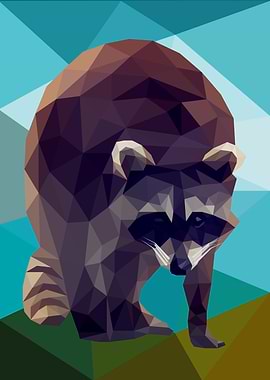 Raccoon