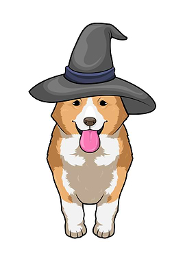 Corgi Witch