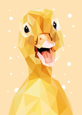 animal portrait duck