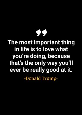 Donald trump quotes