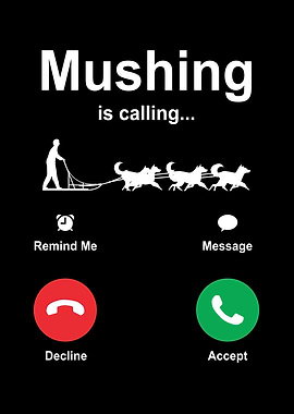 Funny Mushing Sleds Dog