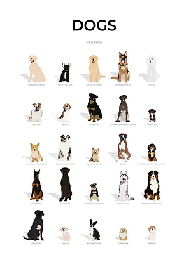 Dogs Breeds Collection