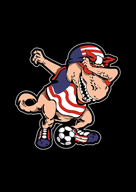 Soccer United States