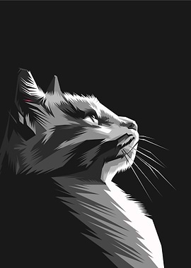 Animal Cat Cute Wpap