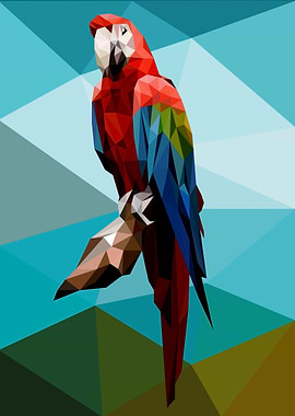Macaw Parrot