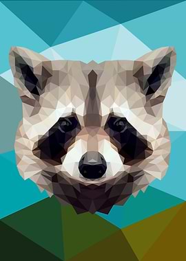 Raccoon