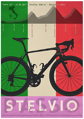 Passo dello Stelvio Nibali