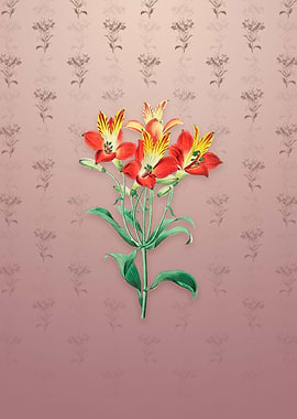 Red Speckled Alstromeria