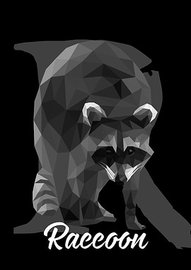 Raccoon