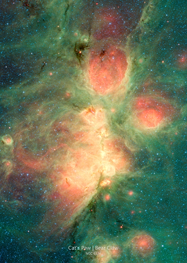 Cats Paw Nebula