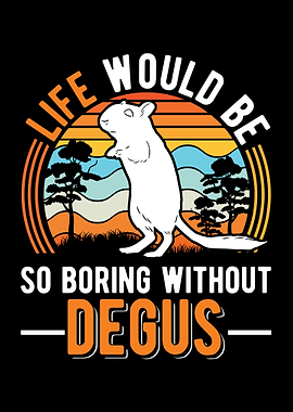 Degu Owner gift