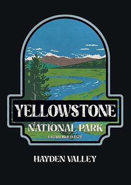 Yellowstone Hayden Valley