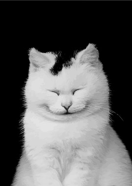 Cat illustration