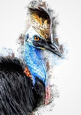 Cassowary