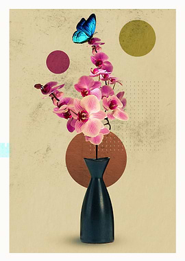 A Place for Everything