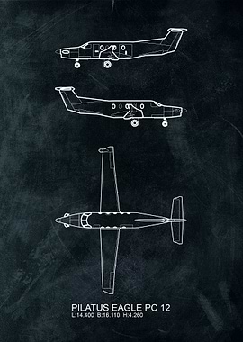 PILATUS EAGLE PC 12