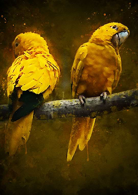 Yellow Parrot